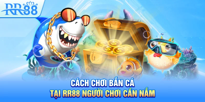 Cách chơi bắn cá tại RR88 người chơi cần nắm