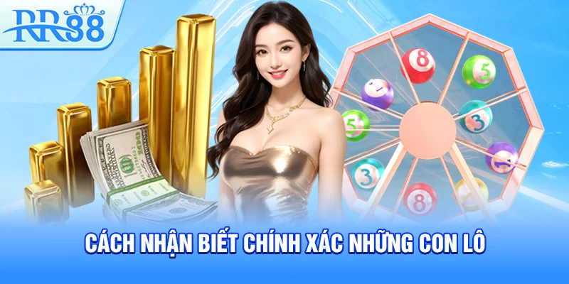 Lô Khan – Bí Kíp Bắt Lô Cực Đỉnh Và Thắng Lớn Cùng RR88 3 Cách nhận biết chính xác những con lô