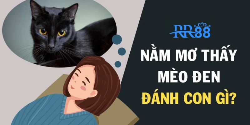 Khám phá bí mật thật sự sau những giấc mơ thấy mèo đen