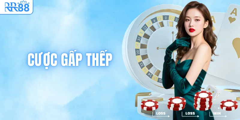 Cược Gấp Thếp & Sự Thật Về “Bí Kíp” Săn Thưởng Tại RR88 1 Cược Gấp Thếp & Sự Thật Về “Bí Kíp” Săn Thưởng Tại RR88